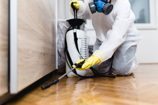 Best Pest Removal Services  in Lowell, MI