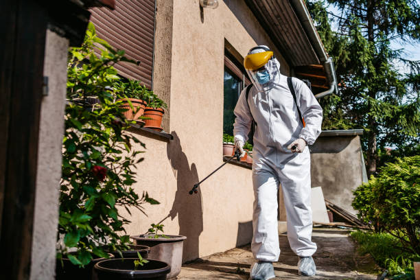 Best Pest Control Near Me  in Lowell, MI