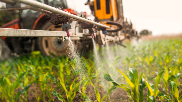 Pest Control Cost in Lowell, MI